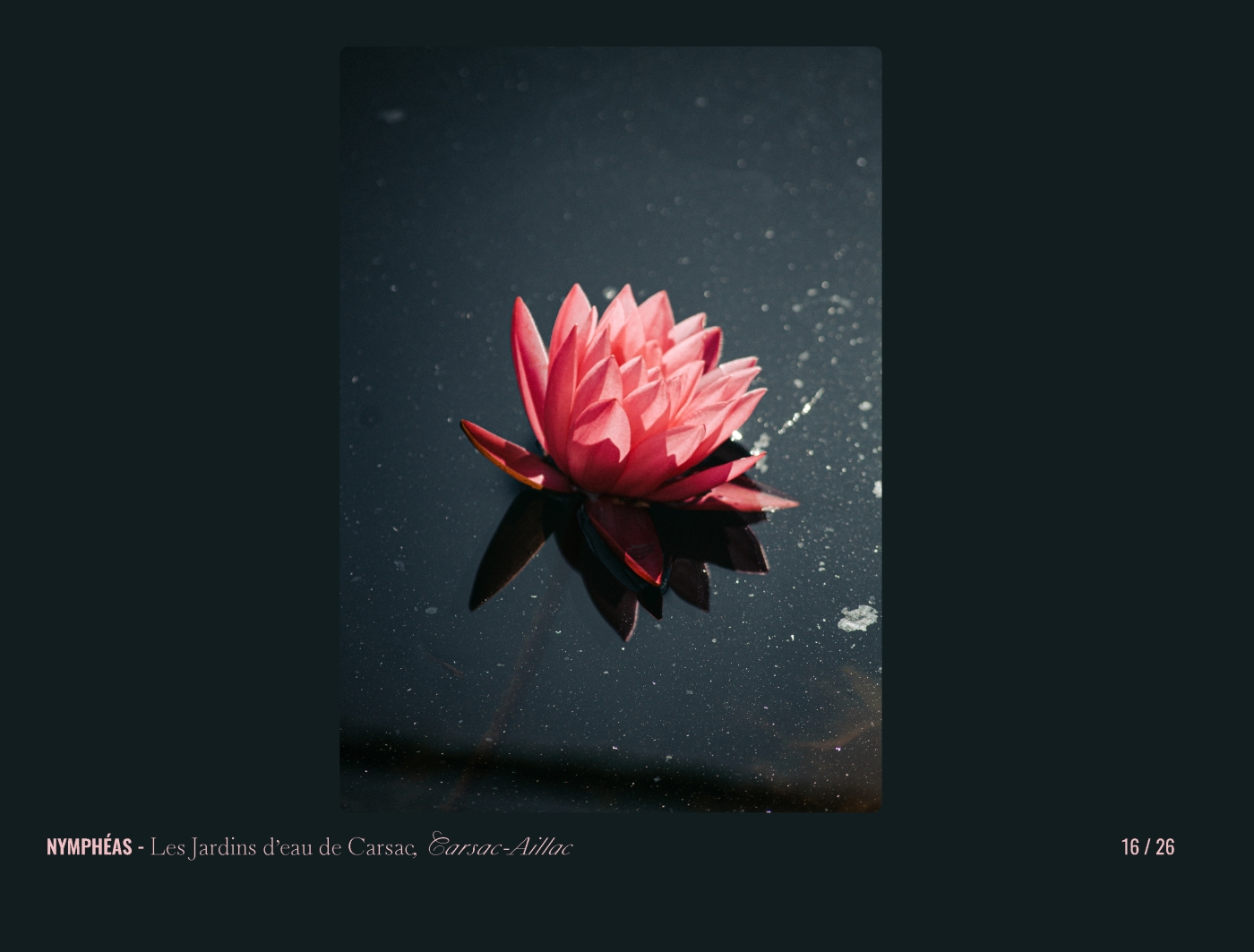 Page 16 - livre "Le temps des fleurs"