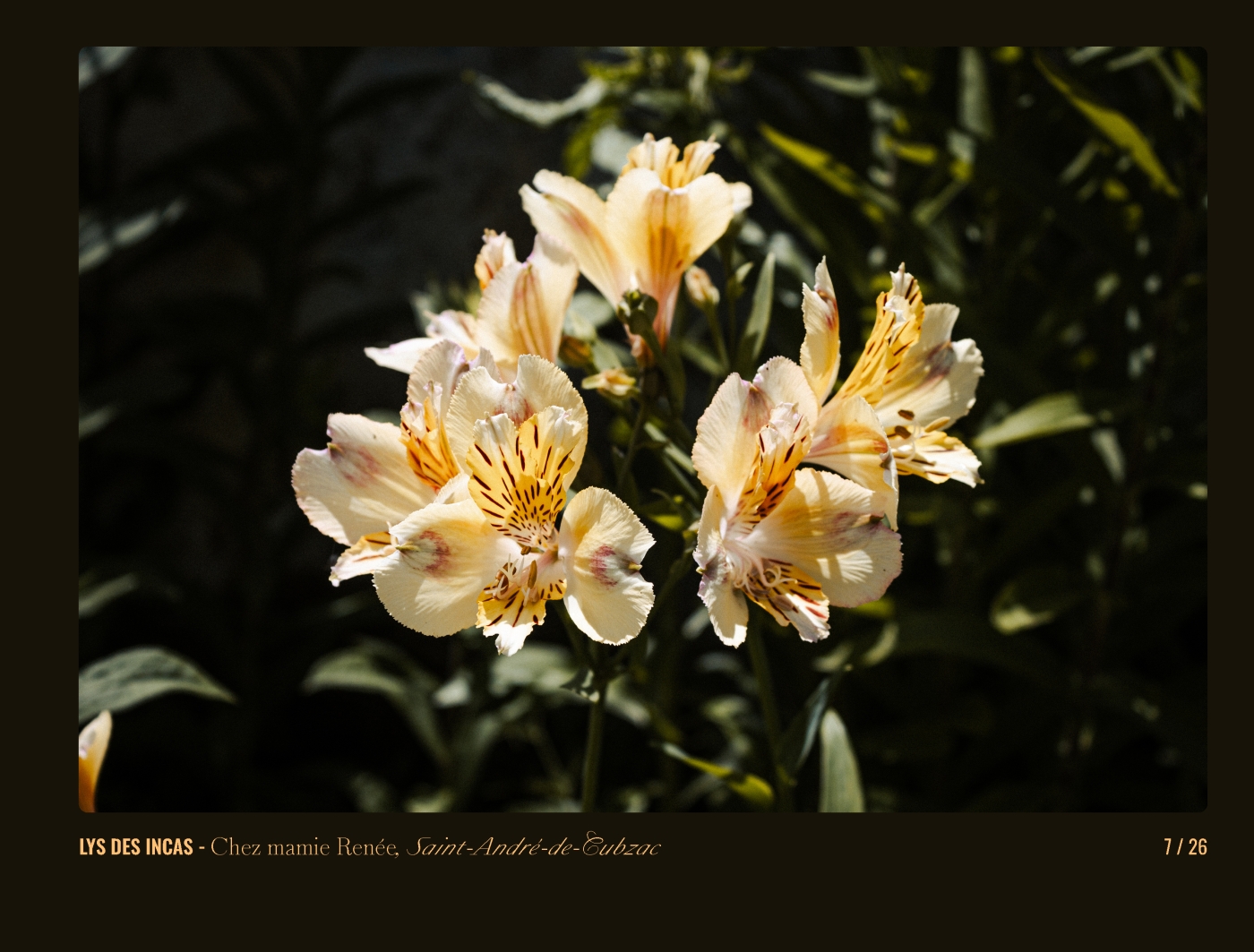 Page 7 - livre "Le temps des fleurs"
