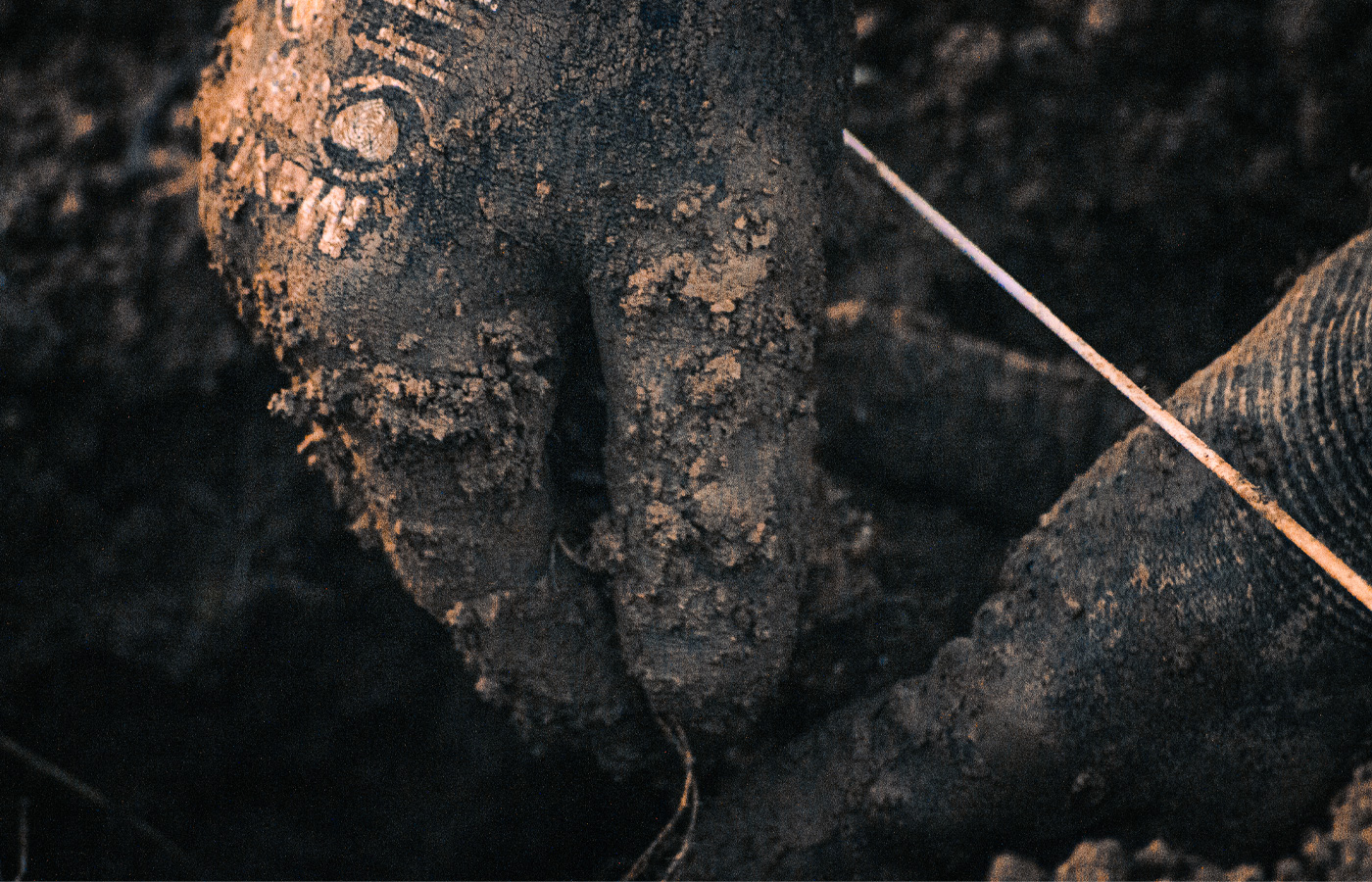 Photographie mains - plantation de houblon - Montgaillard